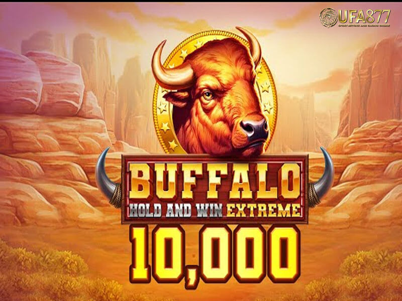Buffalo Hold