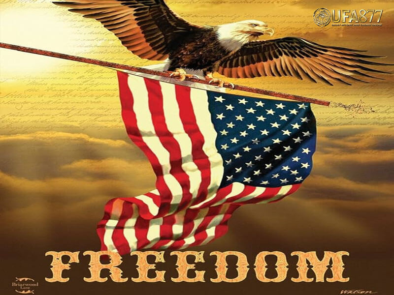 Freedom Eagle